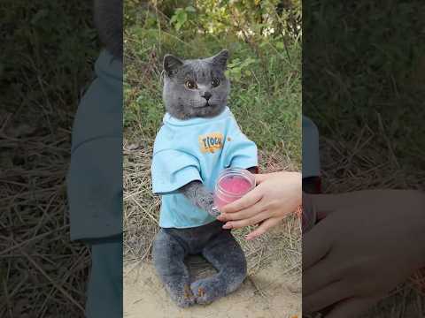 Too dirty! Slice Your Soap for Quick and Easy Cleanup😄🙌🧼 #funnycat #camping #outdoors #catmemes