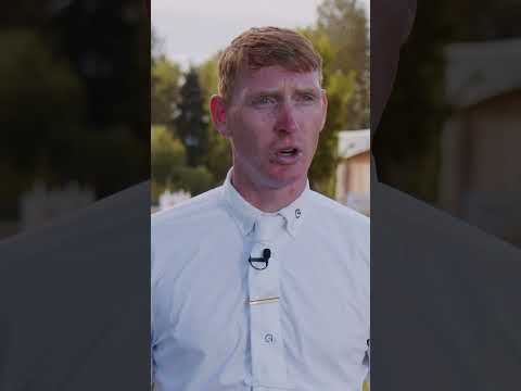 Daniel Coyle | Incredible