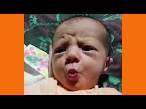 1 minute of funny babies