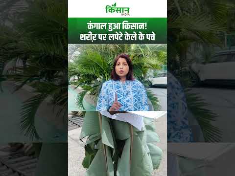 Mandsaur News:  किसान के कंगाल होने के पीछे किसका है हाथ?। Mandsaur farmer protest। #shortvideo