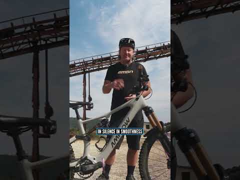 We’ve got our hands on the ALL-NEW Amflow PR & PX 💥