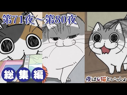 猫の動画サムネイル - アニメ『夜は猫といっしょ』×10！【第71夜～第80夜まとめ】