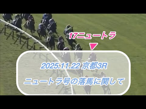 2025.11.22京都3Rの落馬事故について