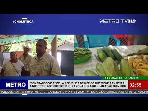 METRO TV NOTICIAS DOMINICAL