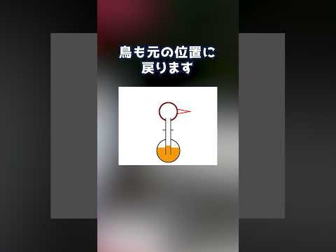 「水飲み鳥」は永久機関なの?