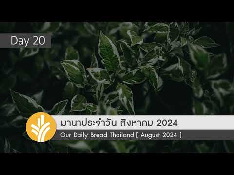 มานาประจำวัน20August2024ผล