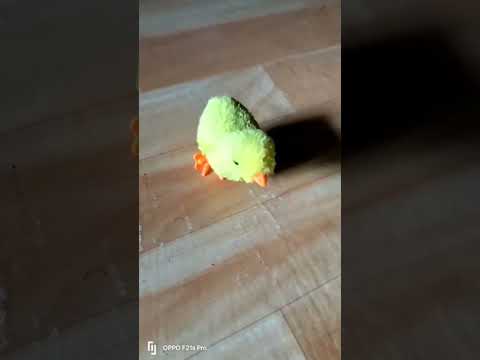 #animals #viralshort #chicken