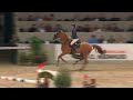 Show jumping horse Verkocht: te koop: Super Schoolmaster