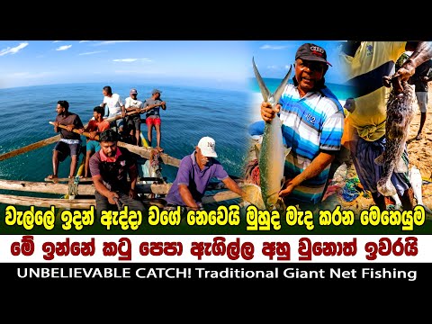 වැල්ලේ ඉදන් ඇද්දා වගේ නෙවෙයි මූද මැද සෙල්ලම් 🐠🐡  | UNBELIEVABLE CATCH! Traditional Giant Net Fishing