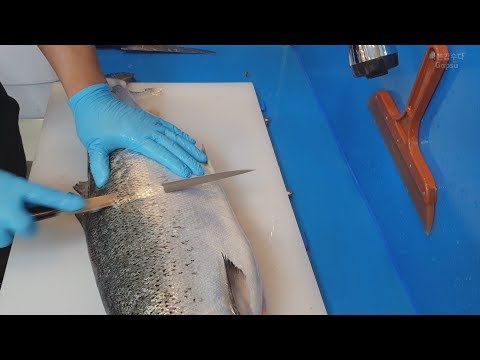 How to fillet a fish [salmon] sashimi/sushi