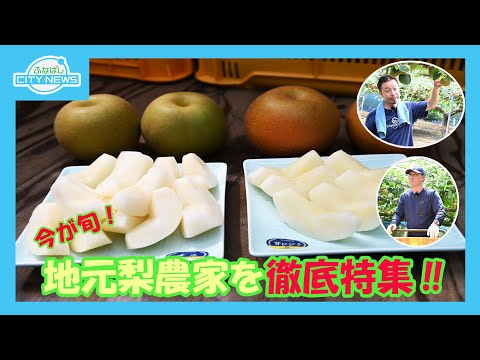 【ふなばし　夏の風物詩「なし」　定番から珍しい品種まで ふなばしの「なし」を紹介！】【輝く看護師目指しませんか？オープンキャンパスで看護の魅力を伝えます】ふなばしCITYNEWS令和７年８月１５日放送