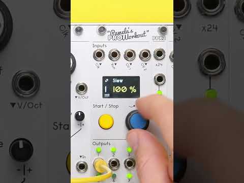 Pamela's PRO Workout - Random Slew