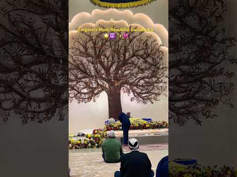 Gurudwara Sadh Sangat, Sector 41, Gurgaon #delhi #gurunanakdevji #gurudwara #delhiaesthetic