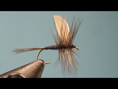 Tie-off!  Tying the classic Black Gnat dry fly