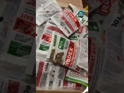 Police find multi-million pound Spice factory operating out of Swindon garage.#itvnews #swindon