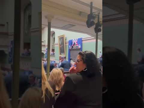 Protester forcibly restrained by MPs in NSW parliament