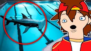 THERE'S A F*%KING SHARK IN MY POOL!!! | Sharks And Minnows