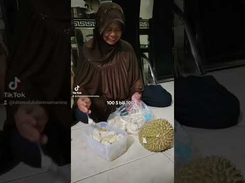 Selagi musim belum berganti takkan berhenti aku mencari #durian #dramakomedi #komedilucu #shorts