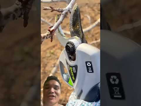 Cây Kéo Điện Cắt Tỉa Cây Cảnh #automobile