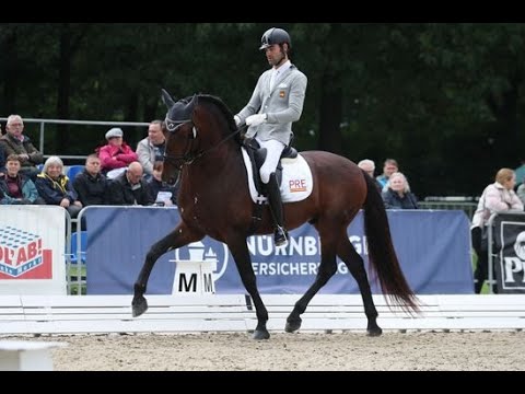 Quádrigo Nadales V  - Small Final 7 años - Cpto. del Mundo de Caballos Jóvenes 2021 - Equipo PRE