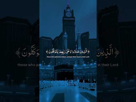 A peaceful recitation of Abdulrehman Massad #beautifulrecitation #peacefulvoice #duet