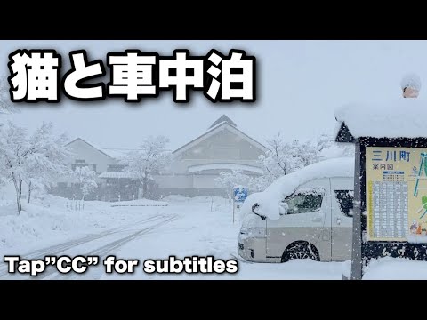 【猫と冬のこたつ車中泊】最強寒波で災害級の大雪予報だったので猫のマサと避難しました。居酒屋マサに車中泊中の猫の様子などをお楽しみ下さい！