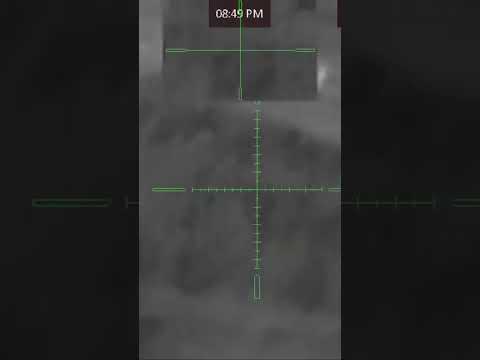 Thermal coyote hunting #thermal #shorts #idaho #washington #content #subscribe