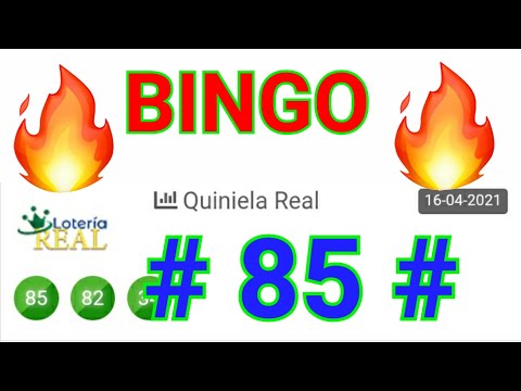 BINGO HOY...! ((( 85 )) loteria REAL para HOY/ números que MAS SALEN HOY/ NÚMEROS RECOMENDADOS HOY