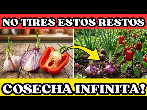 ¡DEJA DE TIRAR DINERO! 🚫 7 Alimentos que Crecen GRATIS desde la Basura!