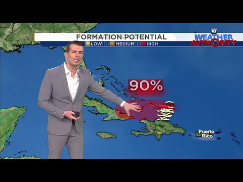 Local 10 Weather: 10/19/24 Edition