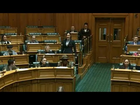 NZealand MPs disrupt parliament with haka to protest Indigenous bill | AFP