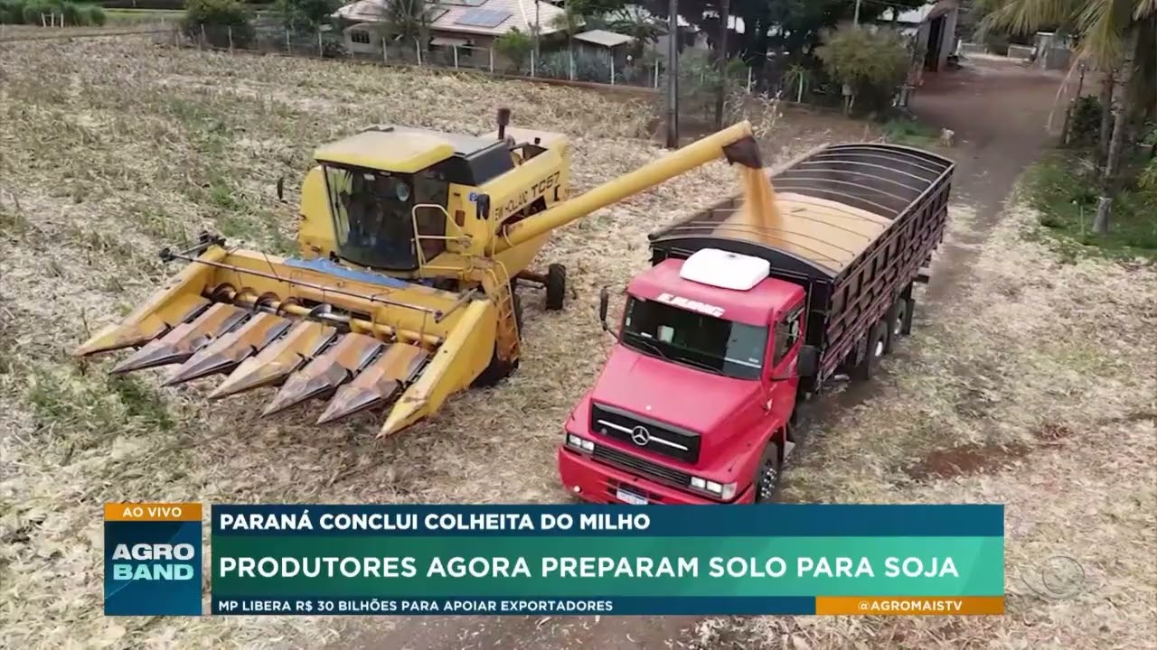 Produtores no Paraná já preparam solo para soja