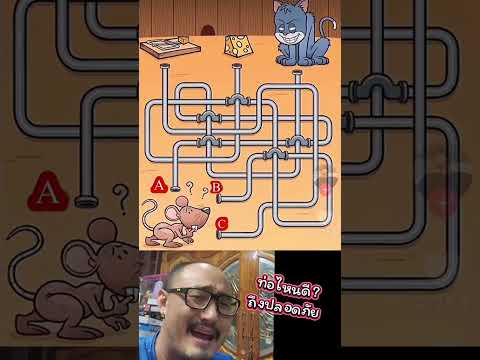 หนูน้อยต้องเข้าท่อไหน ถึงจะปลอดภัยจากแมว #qui #challenge #เกม #puzzle #555infinity #เพื่อนซี้ตัวแสบ