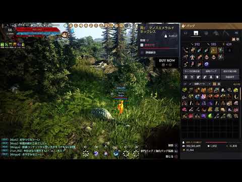 【黒い砂漠CS】狩猟と言う名の採集