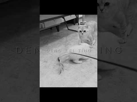 Performance 💞💞 #shorts #shortsfeed #trendingshorts #performance