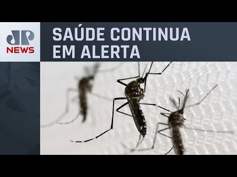 Dengue: São Paulo confirma 62 óbitos e 205 mil casos