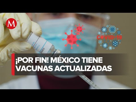 México consigue vacunas actualizadas contra el Covid-19 por primera vez