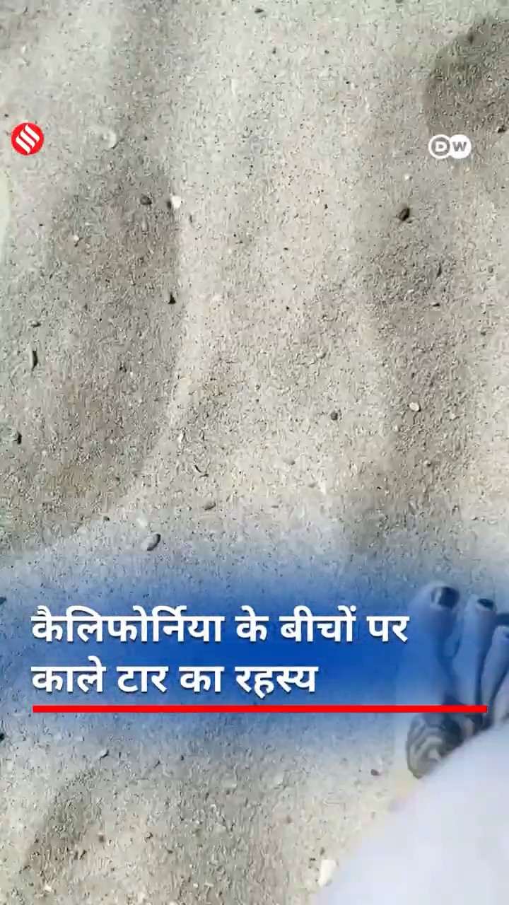 DW Hindi : कैलिफोर्निया के बीचों पर काले टार का रहस्य #dwenvironment #dwhindi #californiabeaches