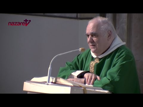 Evangelio y homilía de hoy sábado 7 de septiembre de 2024. Rvdo. Enric Ribas, pbro.