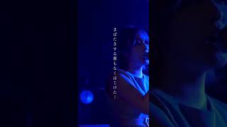 Gazer  from 柾花音Birthday Live 2024 #ライブ #柾花音 #オリジナル曲