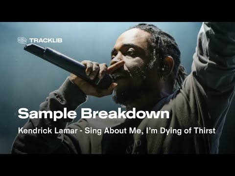 Sample Breakdown: Kendrick Lamar - Sing About Me, I’m Dying of Thirst