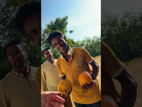 Was hättest du getan?😳 Das ist mir bisher auf KEINER Reise begegnet