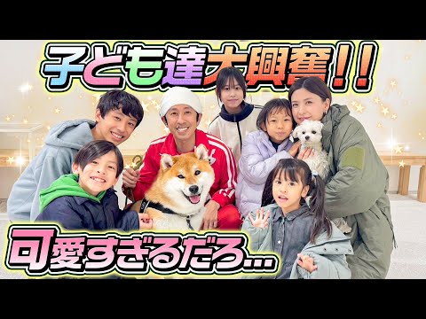 【子ども達大興奮】新しい家族出来た！！