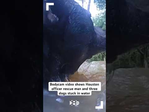 Bodycam video shows Houston officer rescue man and three dogs stuck in water