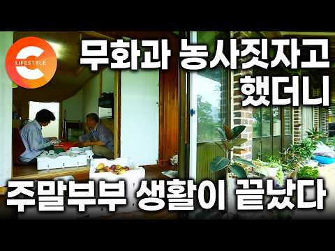 6년 주말부부가 끝났다. “무화과 농사 짓자” 했더니 아내가 내려왔다. 주말부부 생활 끝내고 농부가 된 부부의 땅끝마을 생활ㅣ#한국기행