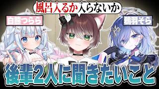 REJECTに新しく入った新人2人に聞きたいことがあるかしわねこ【かしわねこ/雑談/切り抜き】
