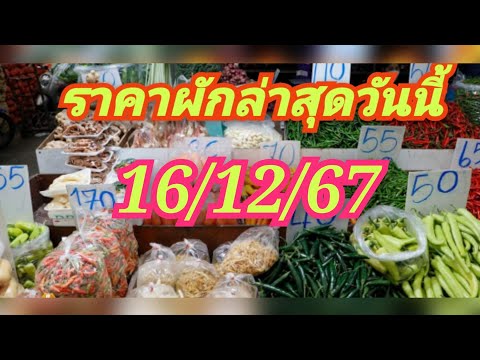 ลุงชัย kaset agriculture vegetable ราคาผักล่าสุดวันนี้161267ย้อนหลัง2วัน