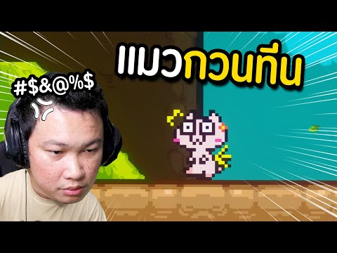 แมวกวนทีน..โคตรหัวร้อน|RUKIM