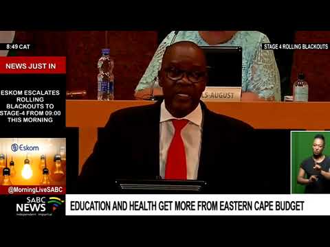 Eastern Cape's Education and Health Departments receive biggest chunk of the provincial budget