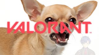 【VALORANT】V最VALO... Tier2 ?? HAHA it's JOKE / アステル